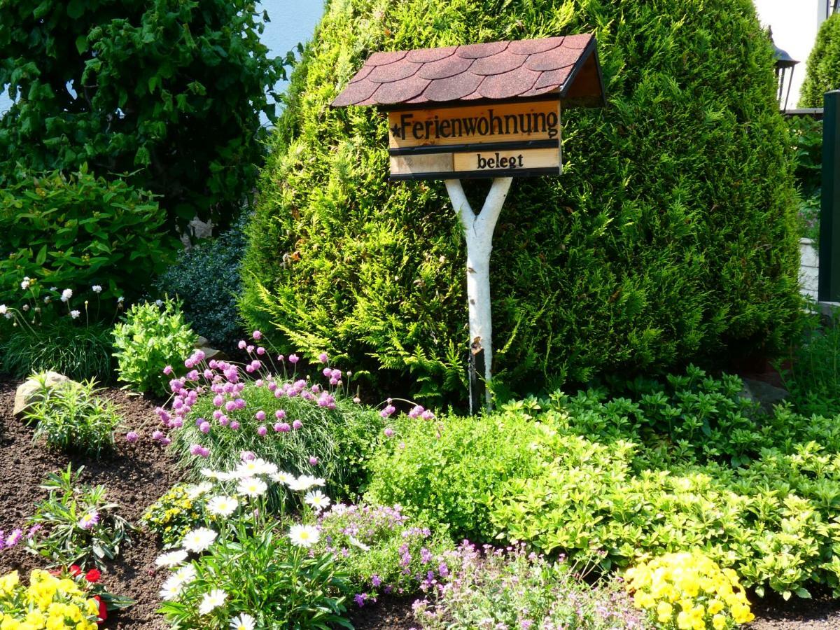 Ferienwohnung Grunwald Kurort Rathen Exteriér fotografie